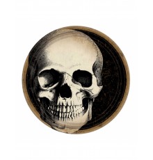 10 Assiettes en carton Crâne d'Halloween 23 cm