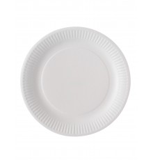 100 assiettes carton blanc biodégradable 23 cm