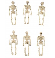 6 décorations squelettes 15 cm