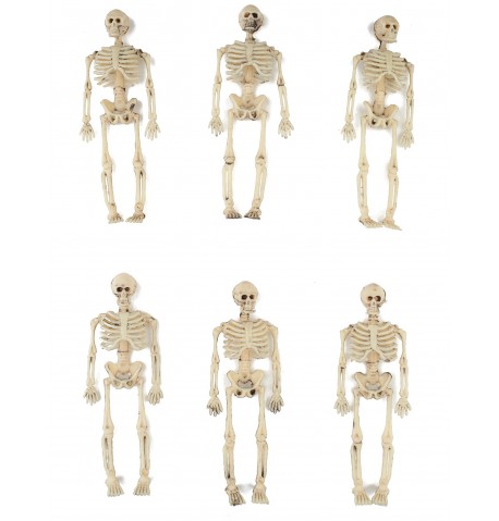 6 décorations squelettes 15 cm