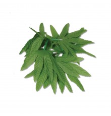 Bracelet poignet ou cheville feuilles tropicales
