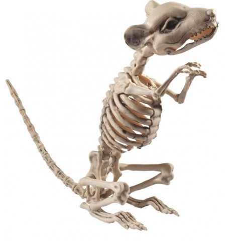 Décoration rat squelette Halloween
