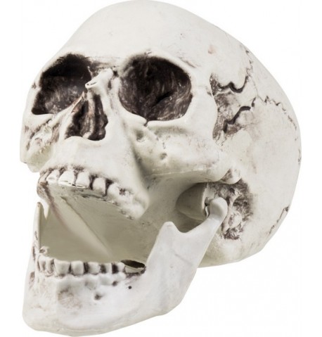 Décoration squelette 24 x 18 cm Halloween
