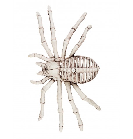 Décoration squelette d'araignée 12 X 24 cm Halloween