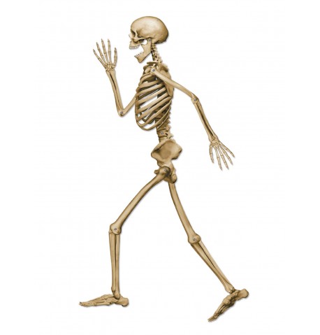 Décoration squelette marchant d'Halloween beige 94 cm