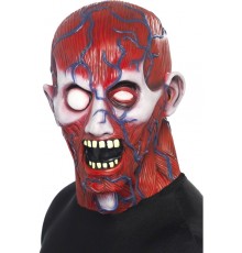 Masque intégral anatomie adulte Halloween