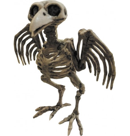 Squelette de corbeau Halloween
