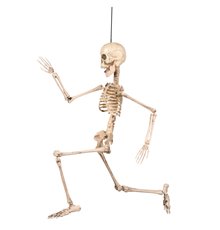 Décoration articulée squelette 50 cm Halloween
