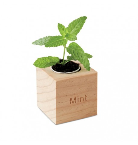 Pot avec coffret en bois