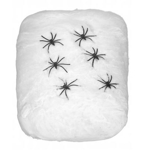 Décoration toile et araignées pour Halloween