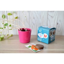 Kit de plantation avec pot de terre cuite et graines