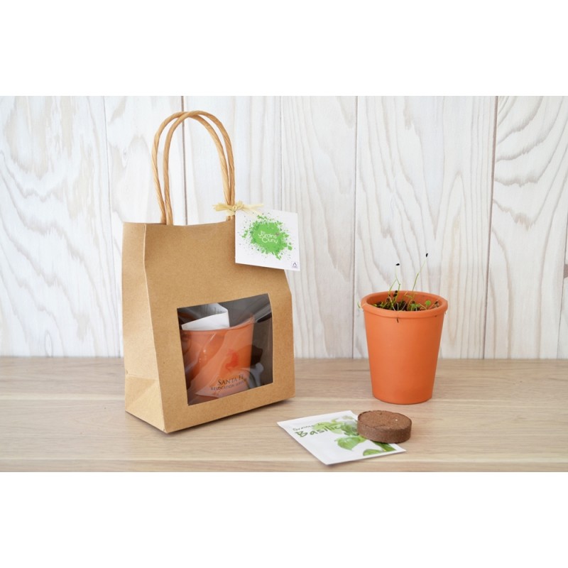 Kit de plantation avec pot de terre cuite et graines