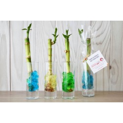 Vase en verre pliable, vase de tube à essai pour fleurs, vase de tube à  essai