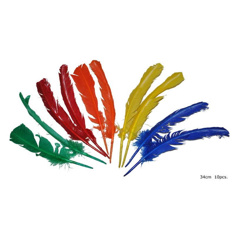 Lot de 10 Grandes Plumes