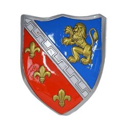 Bouclier de chevalier avec fleur de lys