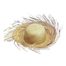 Chapeau de paille de jardinier clair