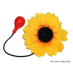 Tournesol Jet d'eau