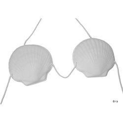 Soutien-gorge coquillage blanc tahitien