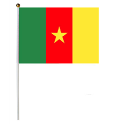 Drapeau Cameroun 30 x 45 cm