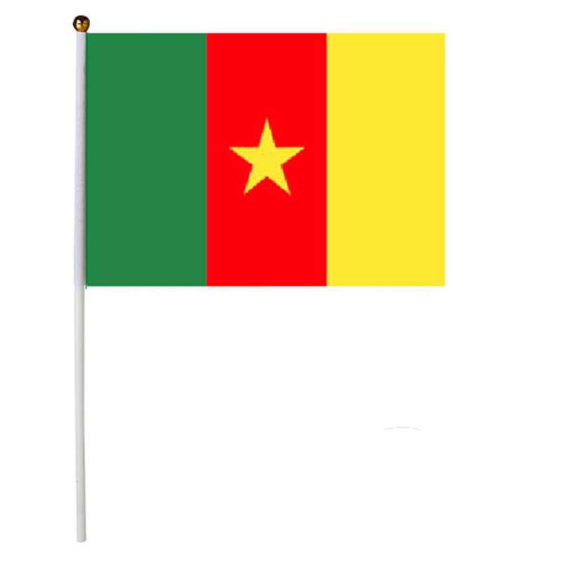Drapeau Cameroun 30 x 45 cm