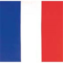 Bandana Drapeau Pays france