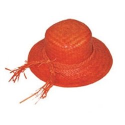 Chapeau de Paille pour Femme de Couleurs Différentes