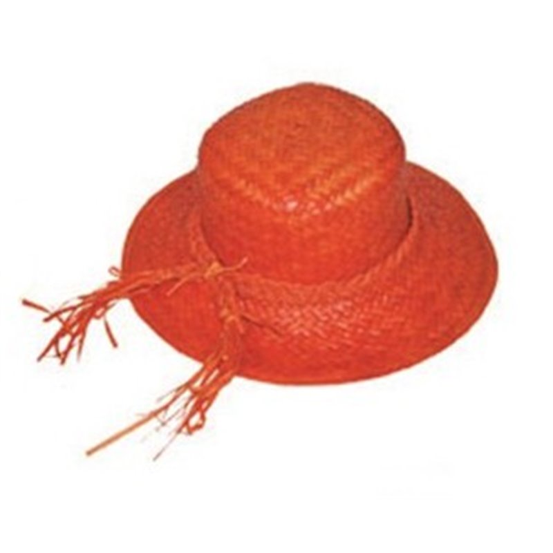 Chapeau de Paille pour Femme de Couleurs Différentes