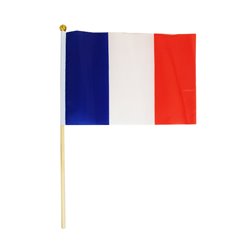 Lot de 12 Drapeaux de Différents Pays