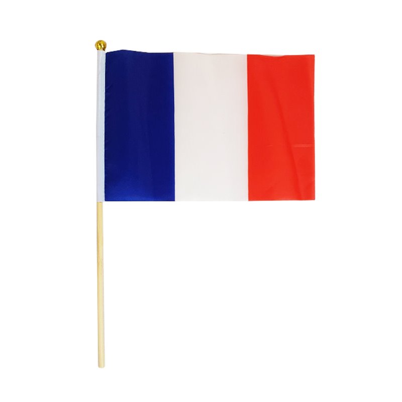 Lot de 12 Drapeaux de Différents Pays