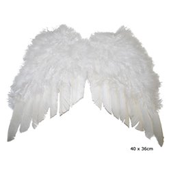 Ailes d’Ange à Petites Plumes