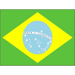 Drapeau de Brésil en Polyester