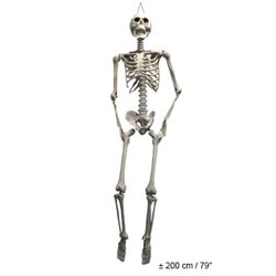 Squelette à Suspendre d'une Longueur de 2 m
