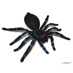 Araignée Noir et Bleu 17 cm