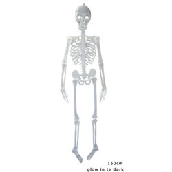 Squelette Phosphorescent très Réaliste