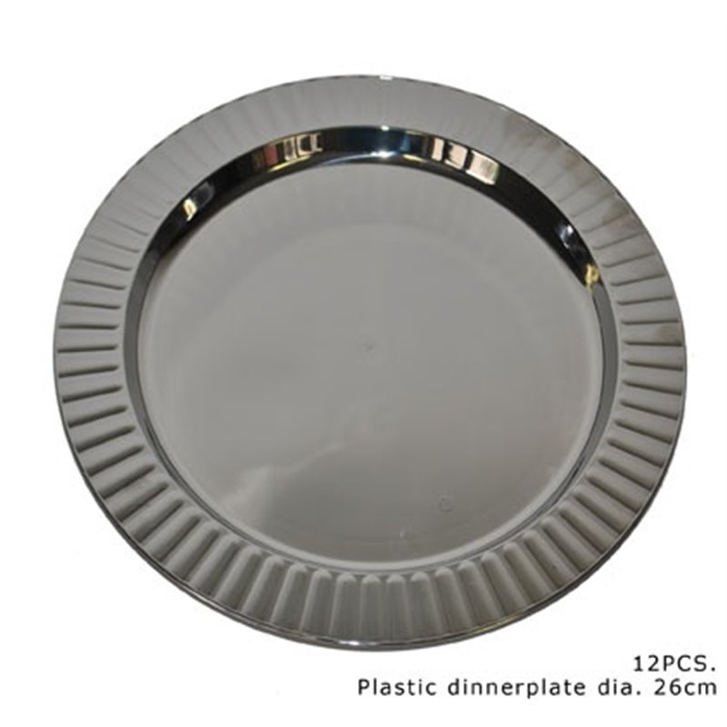 Lot de 12 Assiettes en Plastique Argent