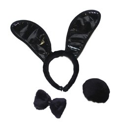 Accessoire de Déguisement Playmate Bunny's Noir