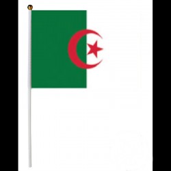 DRAPEAU ALGERIE ALGERIEN 90 X 60 cm no Fanion Maillot écharpe