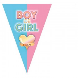 Guirlande 10 fanions motif boy or girl reveal bleu rose 5m