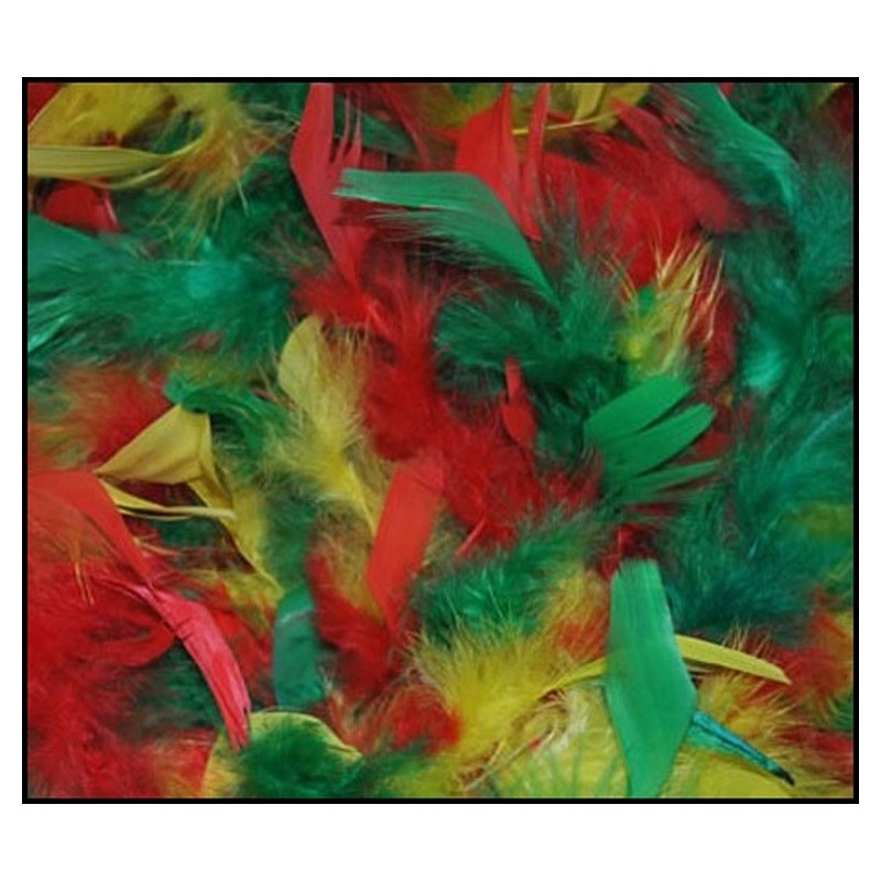 Boa 45gr rouge jaune vert 2m