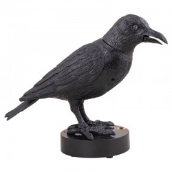 Corbeau ensorcelé horreur lumineux sonore motorisé 22x24cm