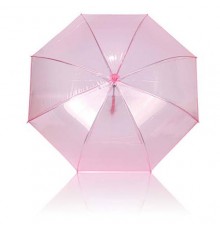 Parapluie Rantolf aux Fuchsia