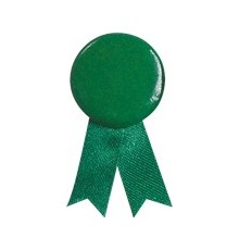 Pin's Ruban Solidario Vert