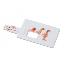 Clés USB 4 G en forme d'un Carte de Crédit en ABS