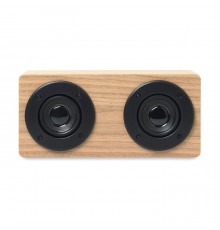 Haut-parleur Bluetooth (2 x 3W) avec amplificateur