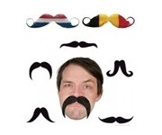 Fausses moustaches